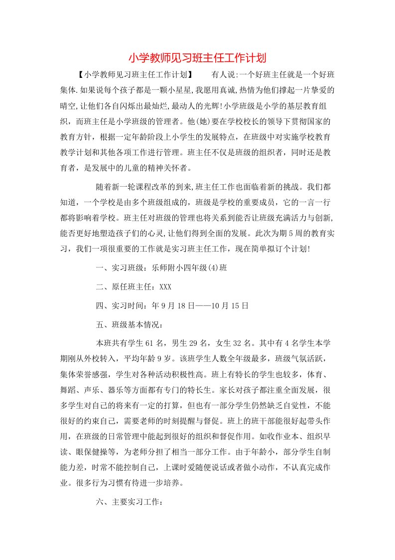 小学教师见习班主任工作计划