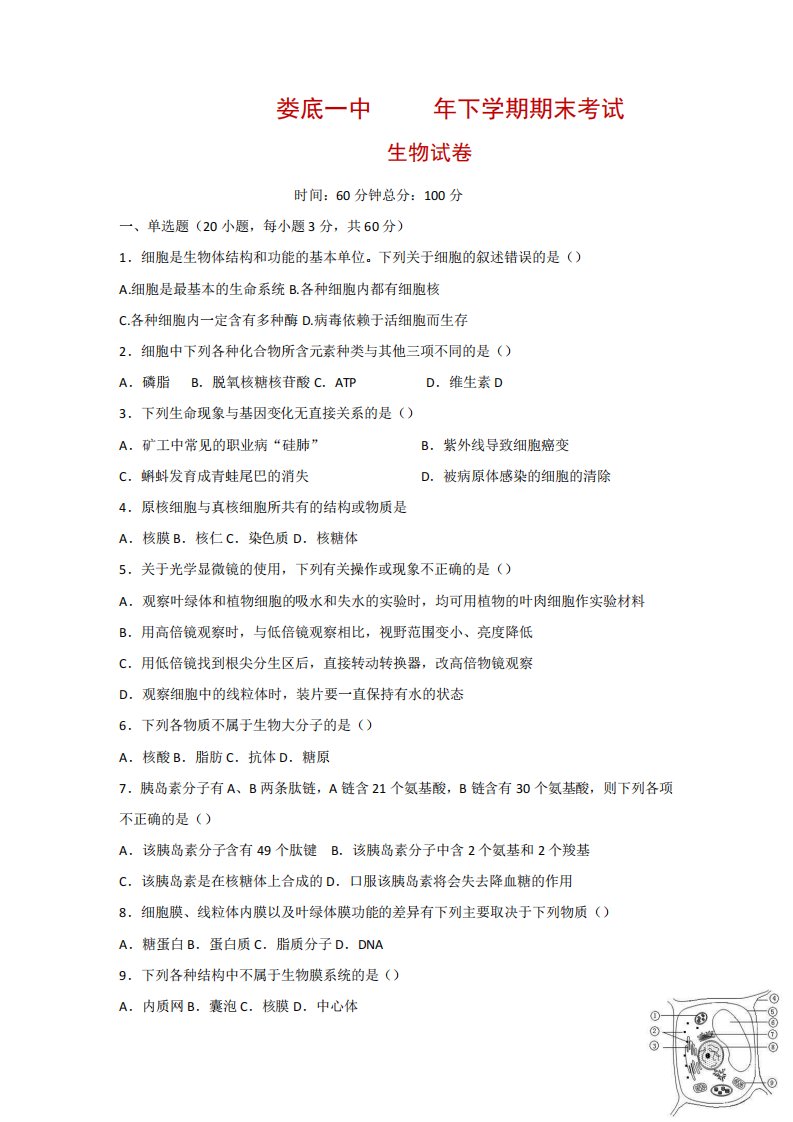 湖南省娄底市第一中学高一上学期期末考试生物试题