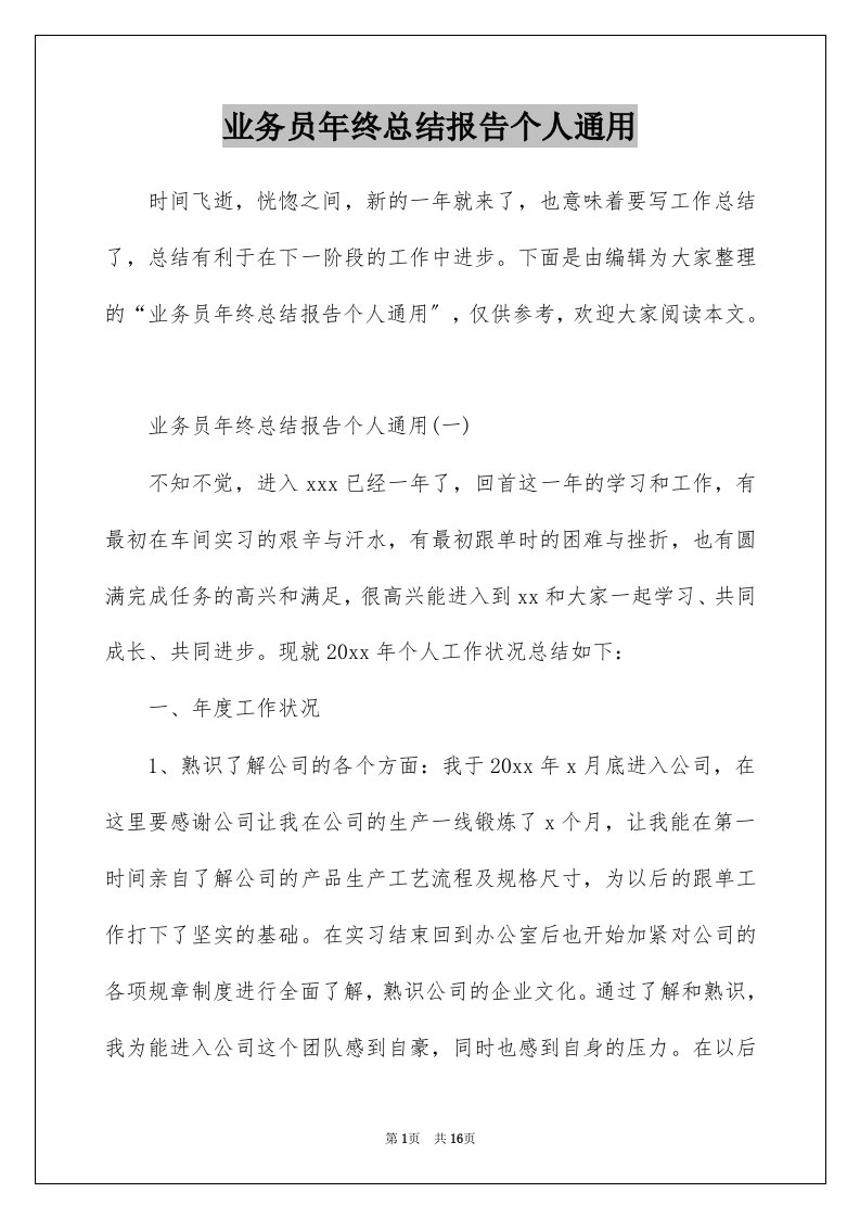 业务员年终总结报告个人通用