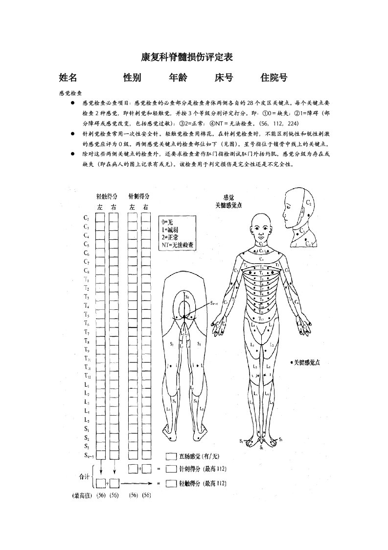 康复科脊髓损伤评定表