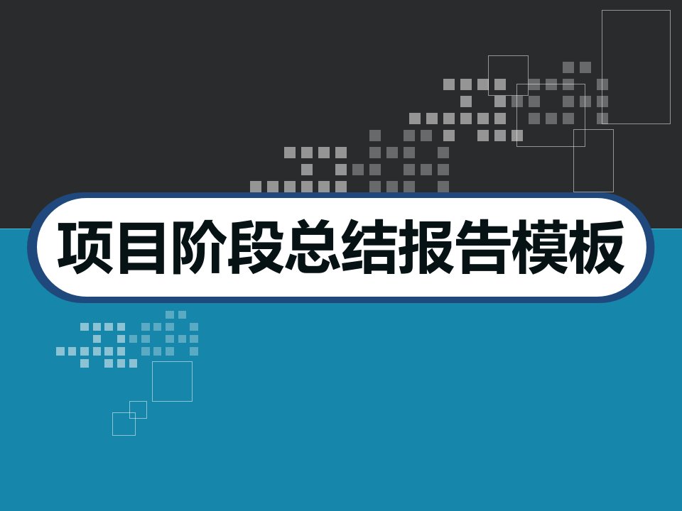 项目阶段总结报告模板2