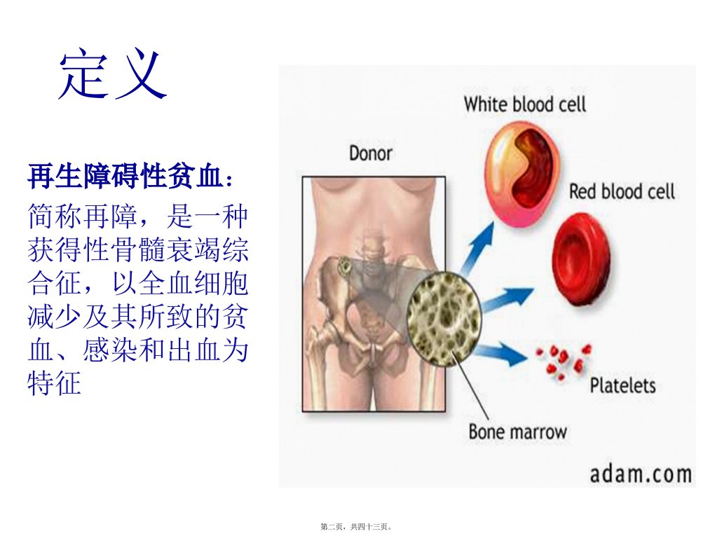 再生障碍性贫血七年制