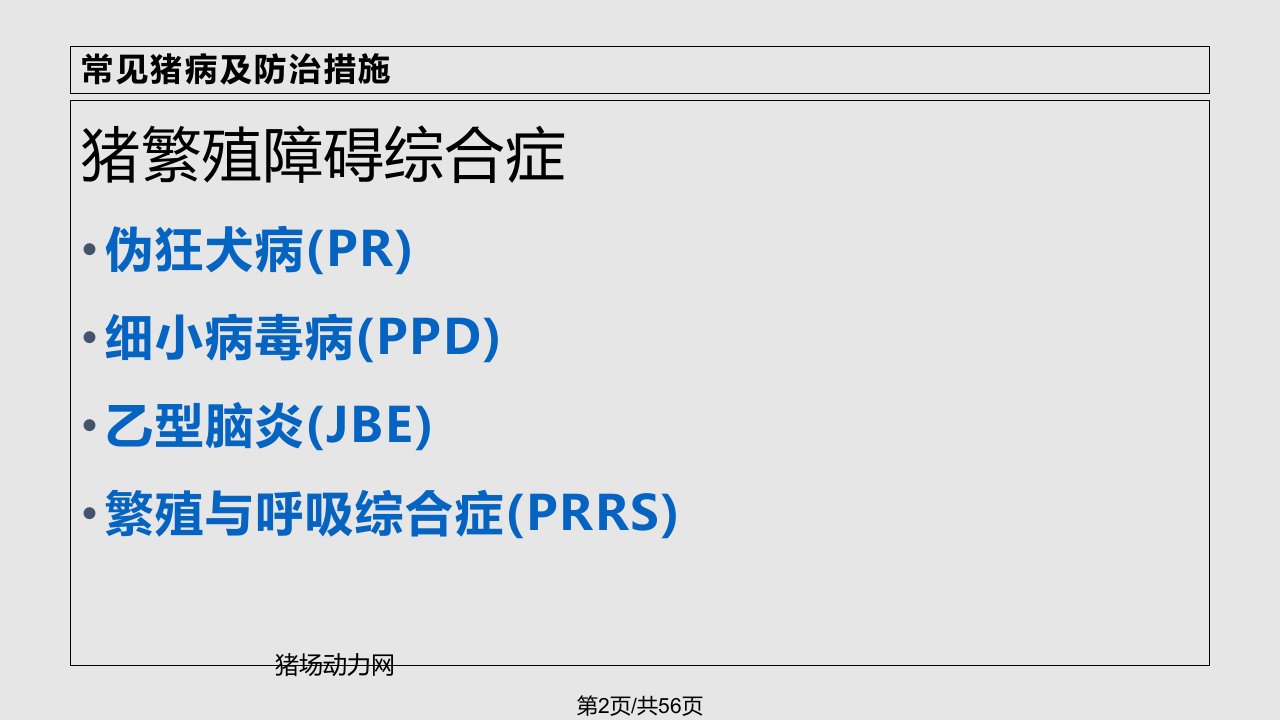 常见猪病及防治措施一