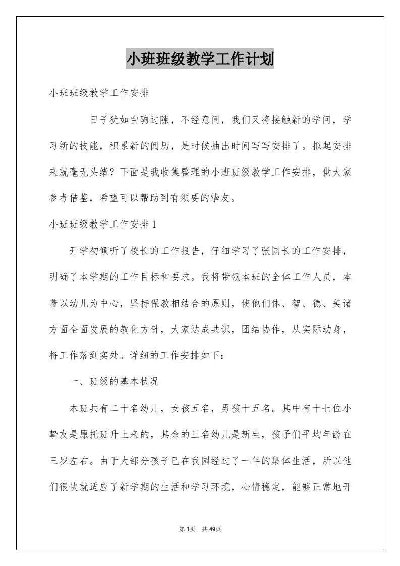 小班班级教学工作计划例文