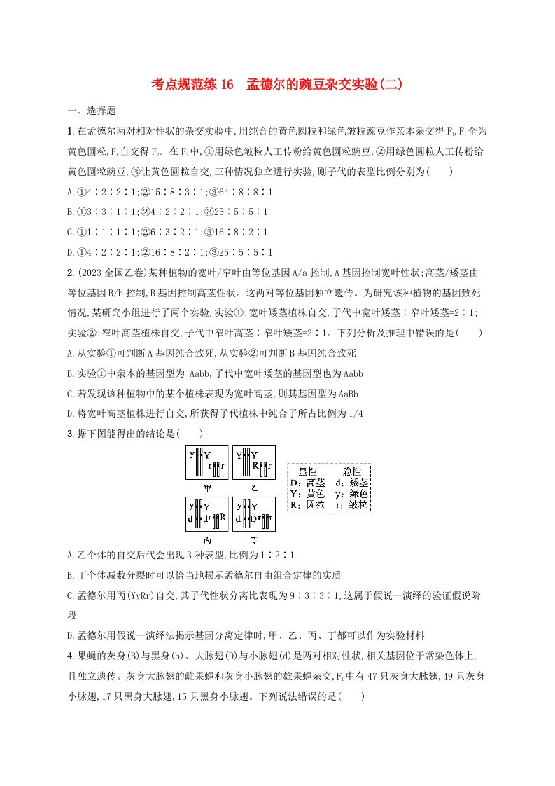 适用于新高考新教材2025届高考生物一轮总复习考点规范练16孟德尔的豌豆杂交实验二新人教版