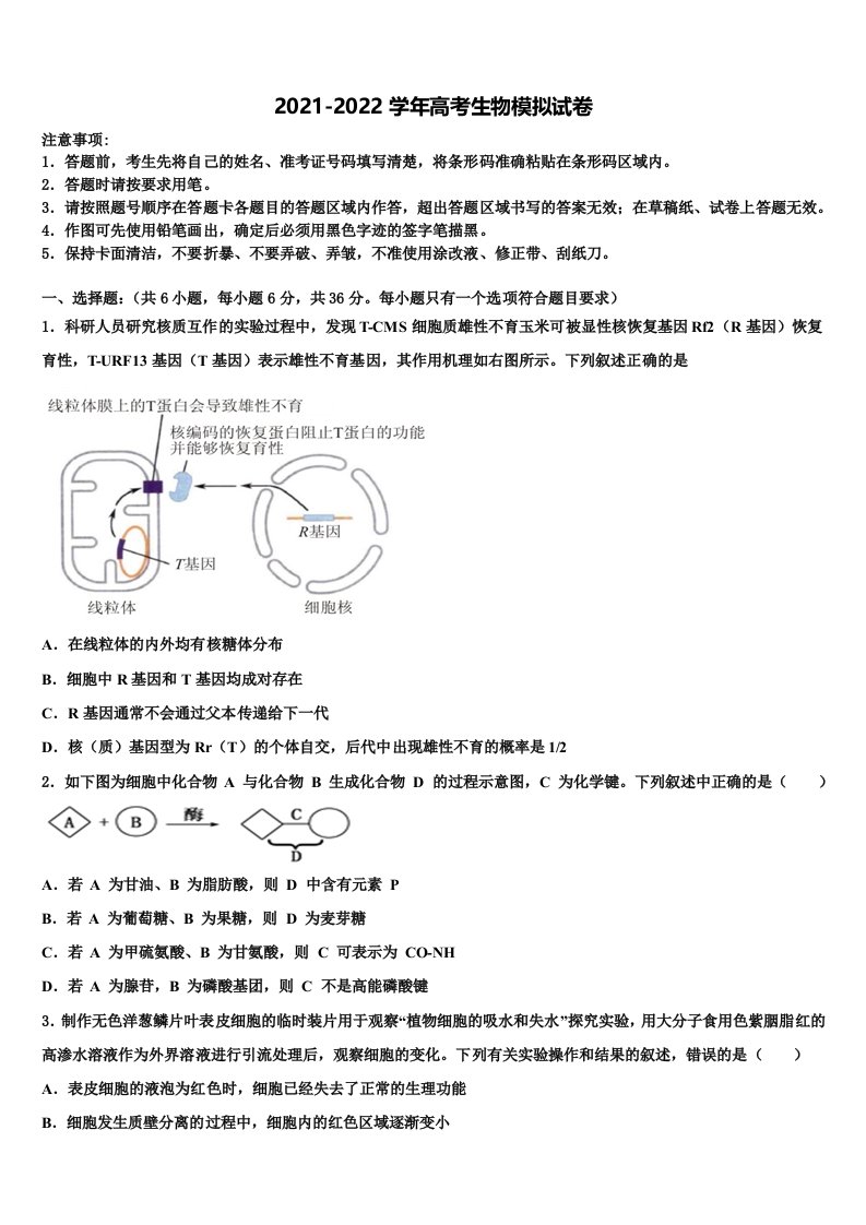 天津市滨海新区大港油田一中2022年高三下学期联合考试生物试题含解析