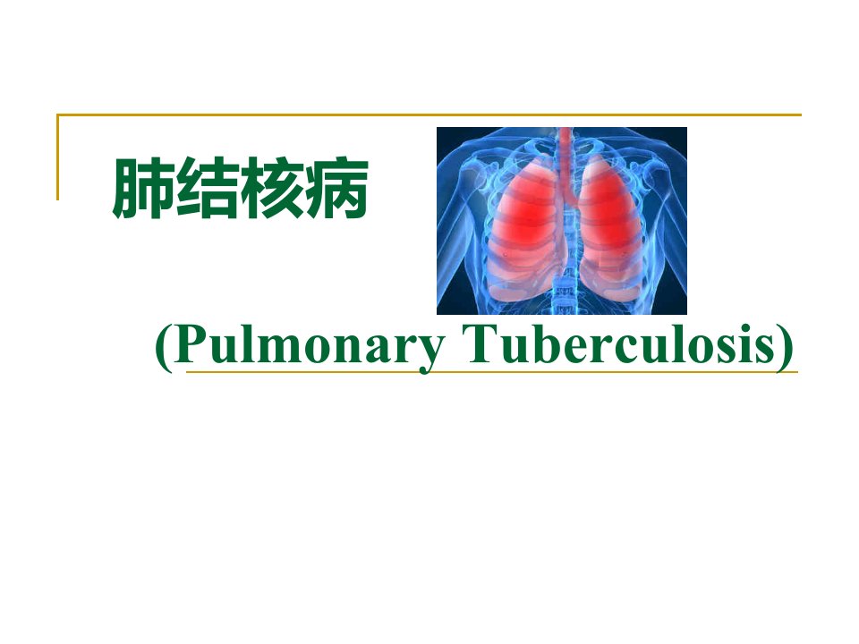 肺结核病ppt课件