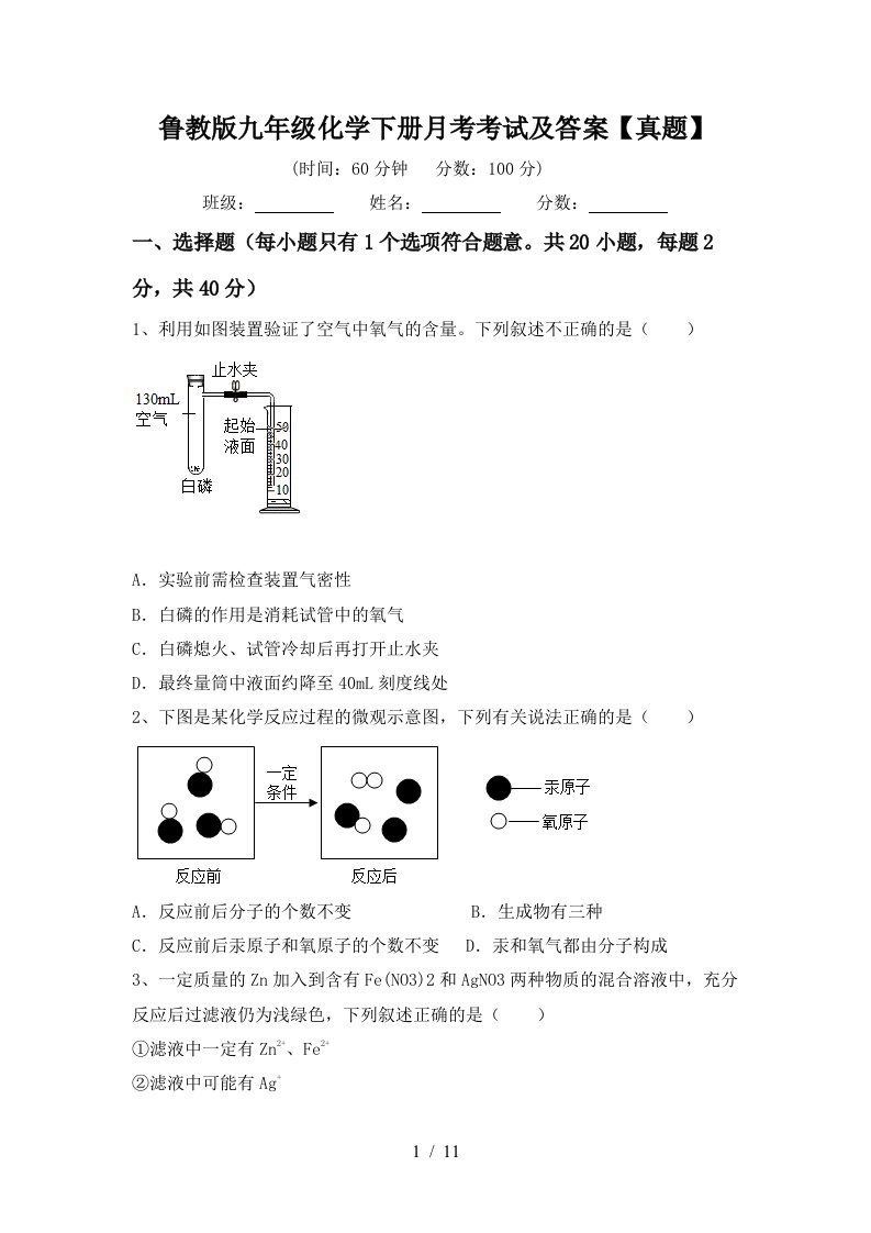 鲁教版九年级化学下册月考考试及答案真题