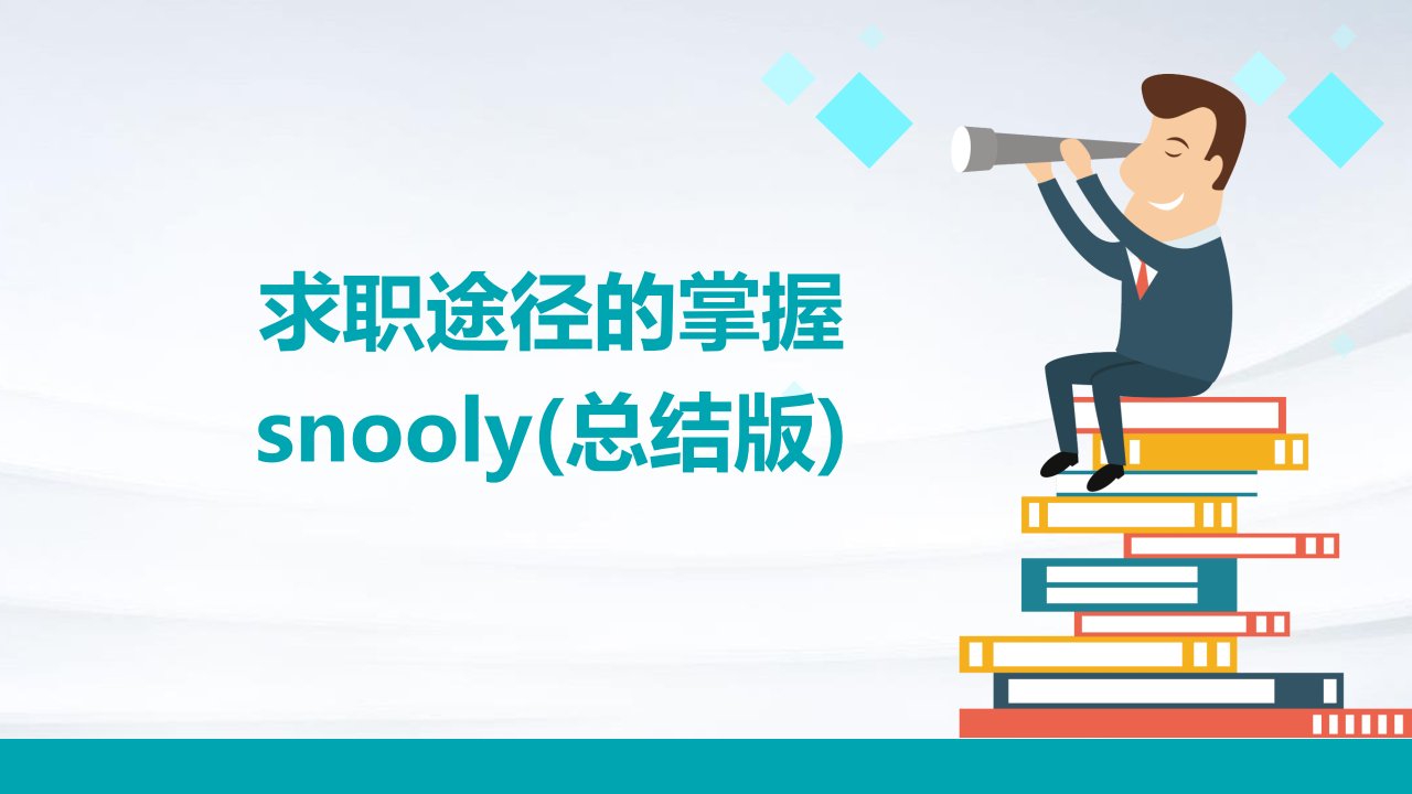 求职途径的掌握snooly(总结版)