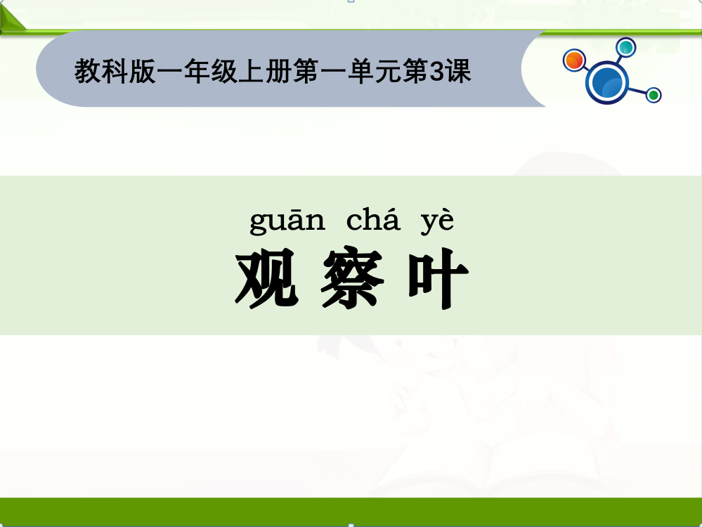 教科版一年级科学上册课件：1.3观察叶课件(8)-新教材