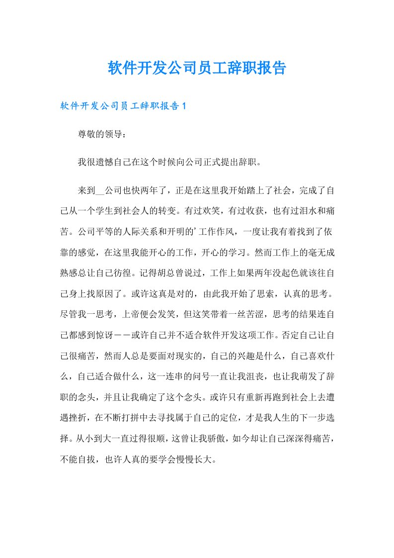 软件开发公司员工辞职报告