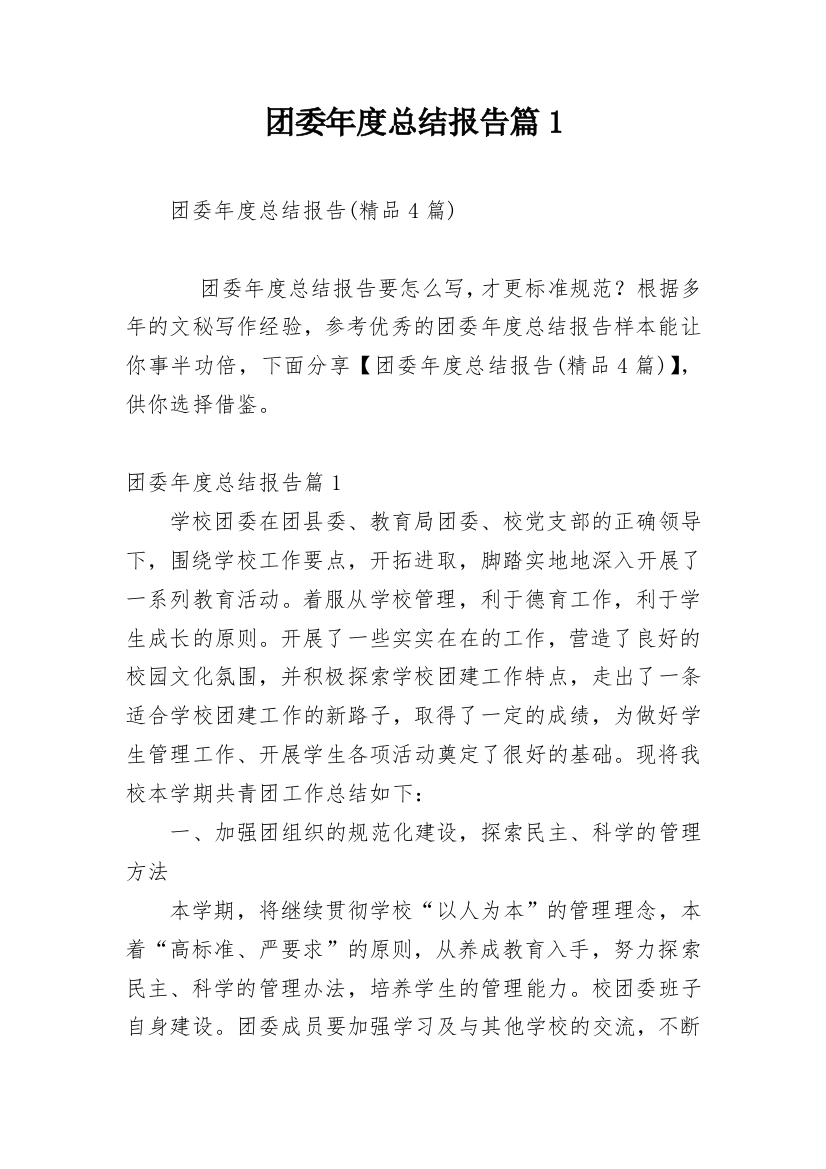 团委年度总结报告篇1