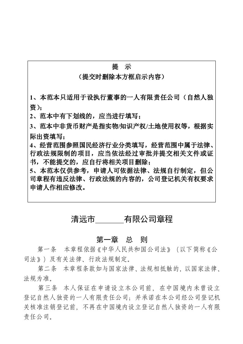 精选设执行董事的一人有限责任公司章程