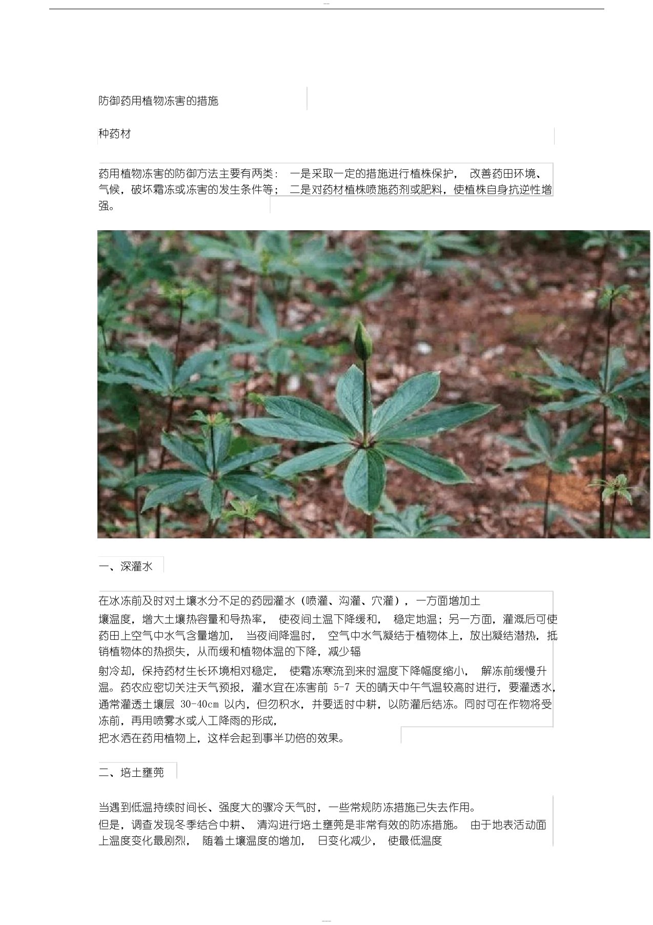 防御药用植物冻害的措施