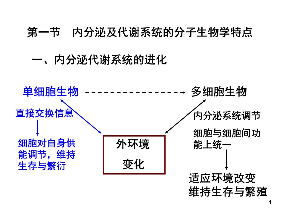 五内分泌及代谢性疾病分子机制