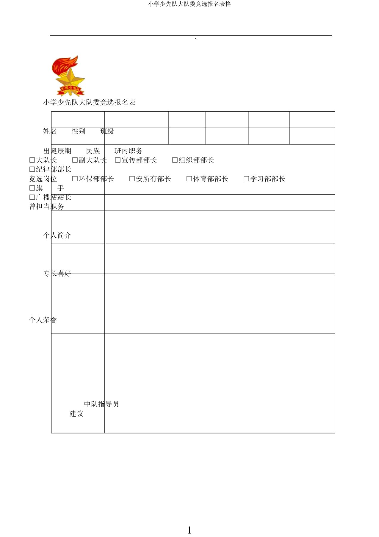 小学少先队大队委竞选报名表格