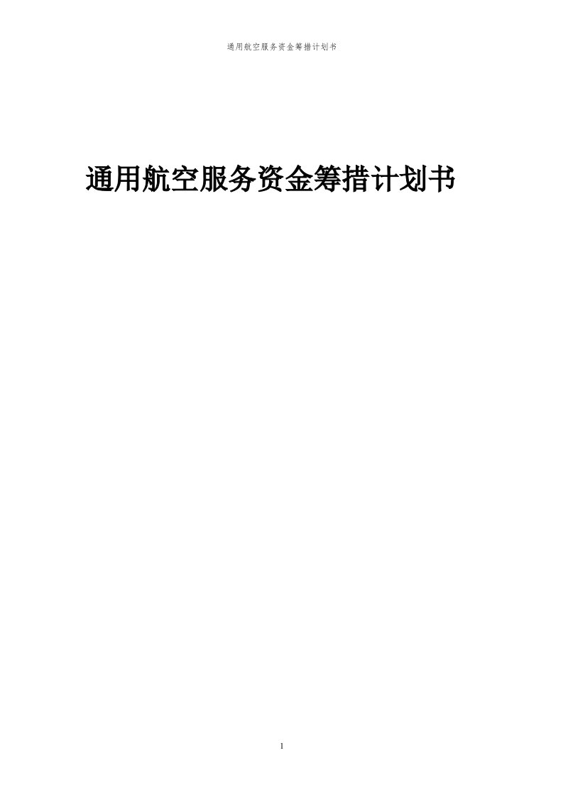 2024年通用航空服务项目项目投资筹措计划书代可行性研究报告