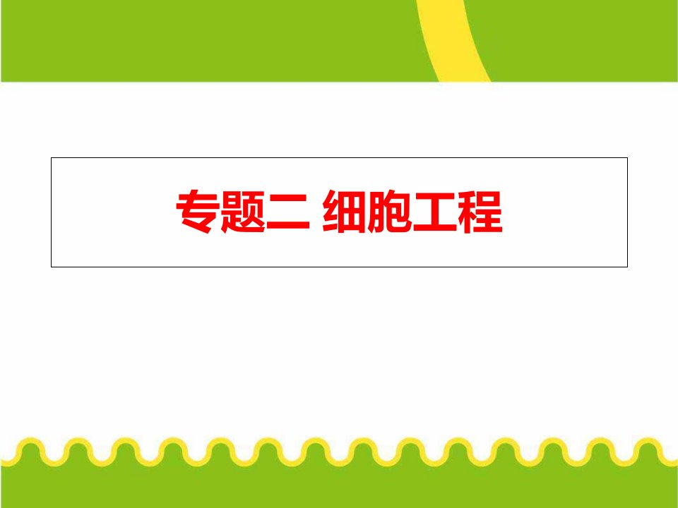 动物细胞工程核移植