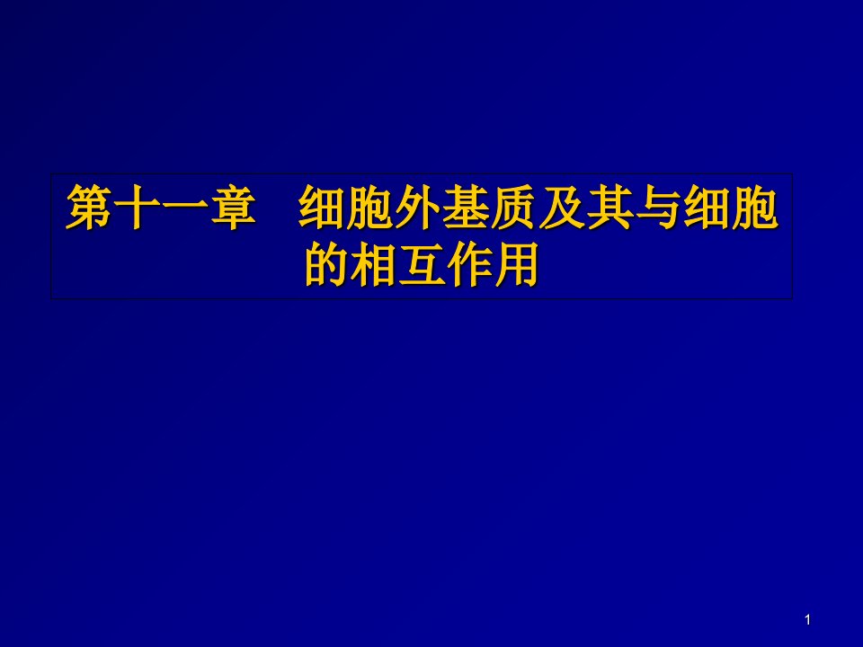 细胞外基质及其与细胞的相互作用