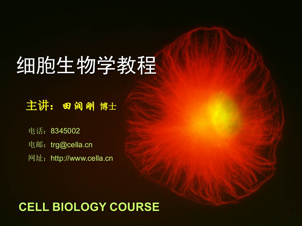 细胞生物学翟中和课件1