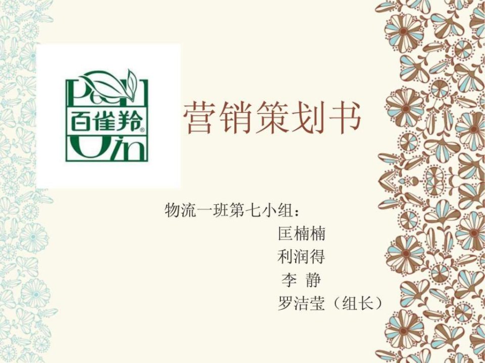 百雀羚营销策划书_营销活动策划_计划解决方案_实用文档.ppt