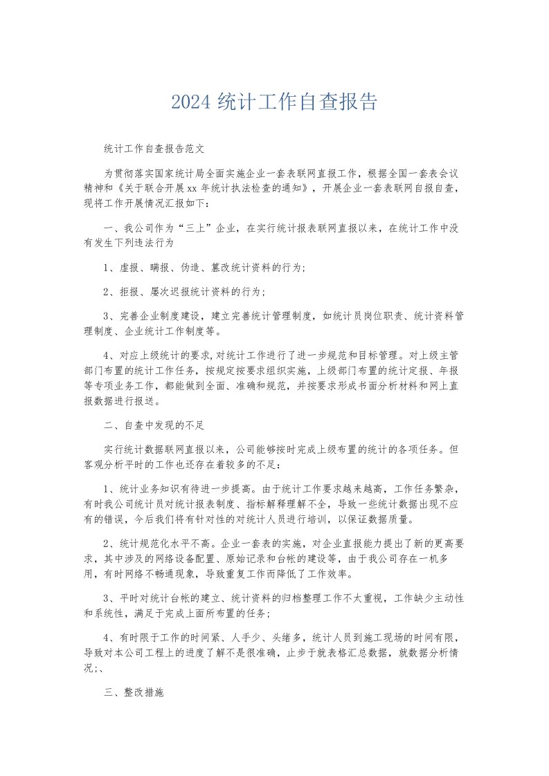 总结报告2024统计工作自查报告