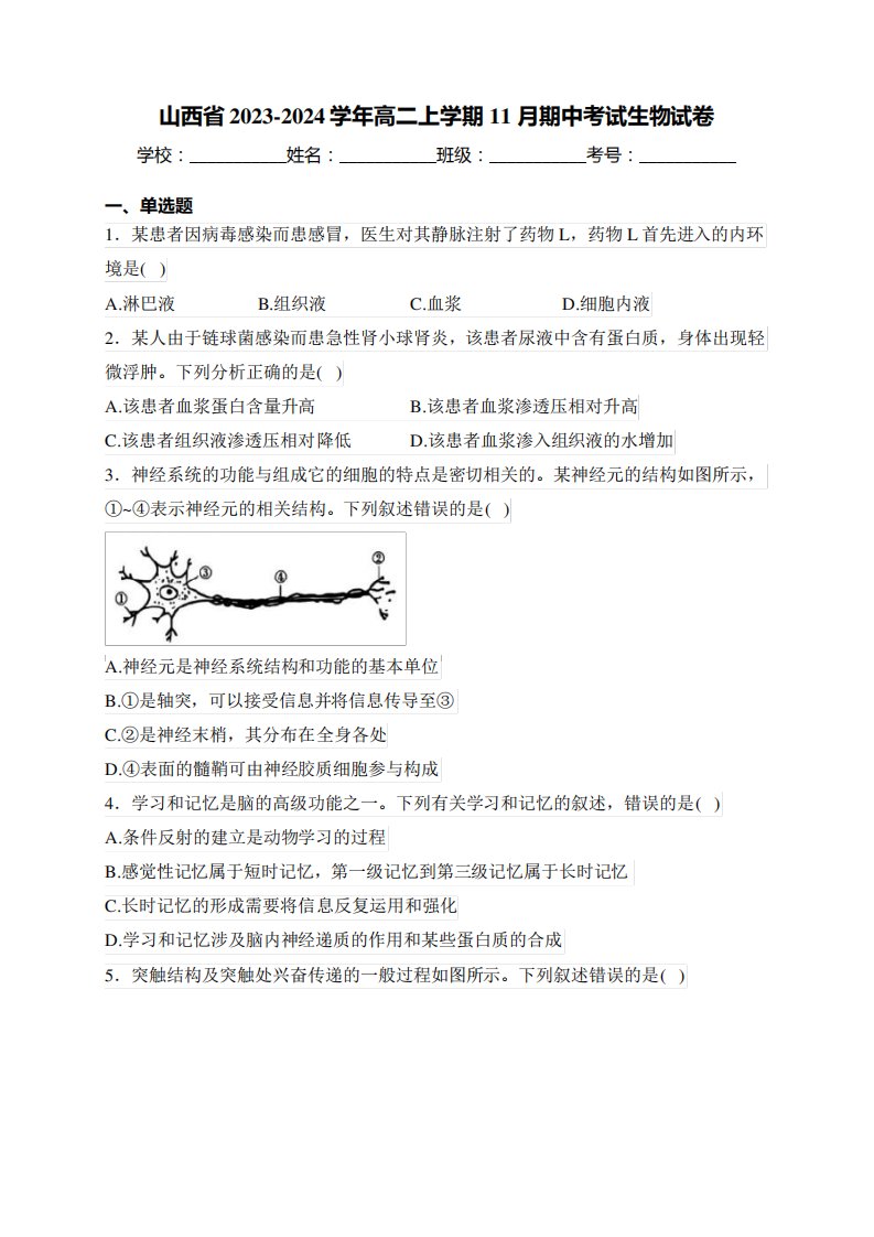 山西省2023-2024学年高二上学期11月期中考试生物试卷(含答案)4162