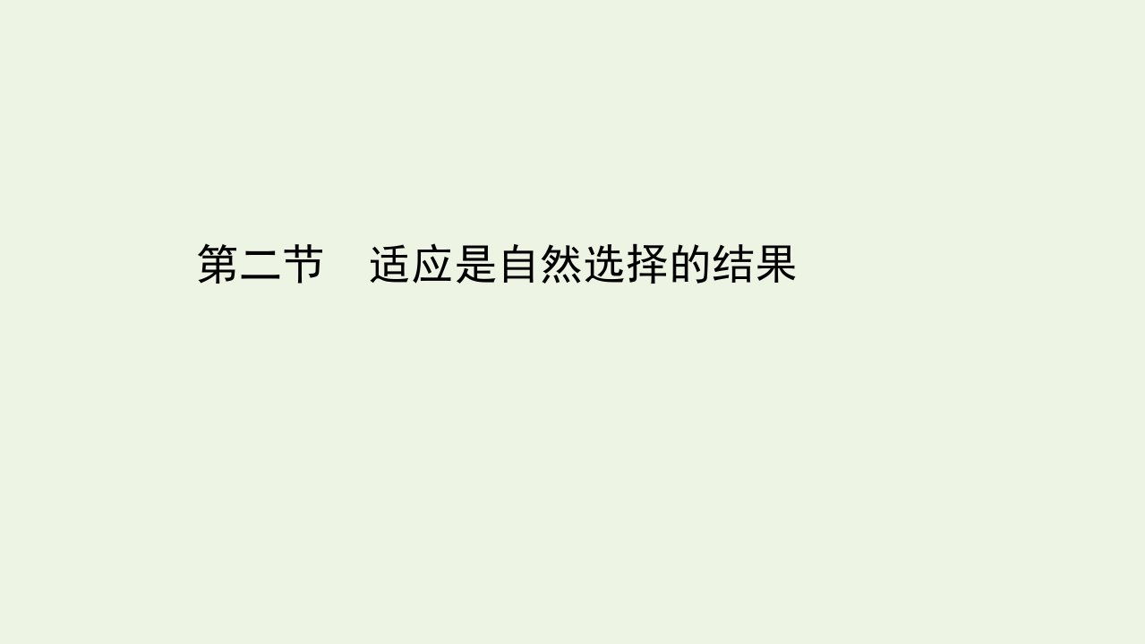 新教材高中生物第五章生物的进化2适应是自然选择的结果课件浙科版必修2