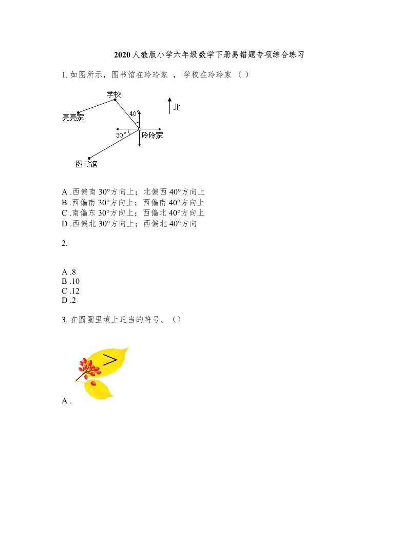 2020人教版小学六年级数学下册易错题专项综合练习