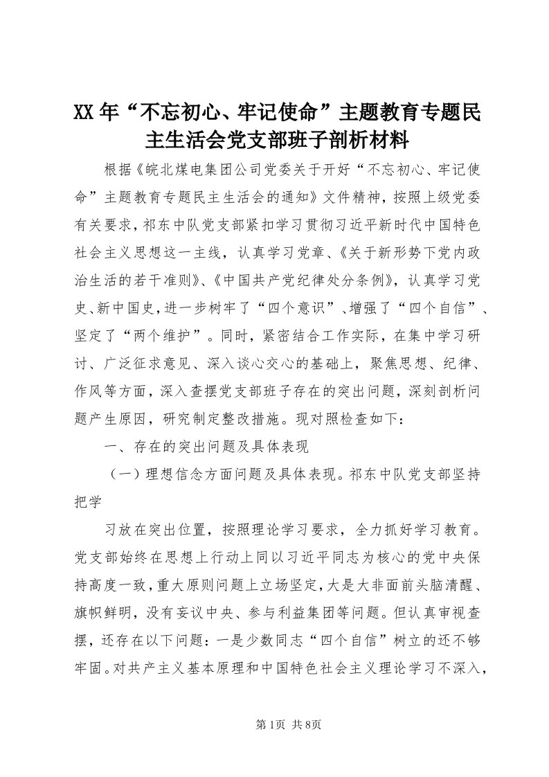 4某年“不忘初心、牢记使命”主题教育专题民主生活会党支部班子剖析材料