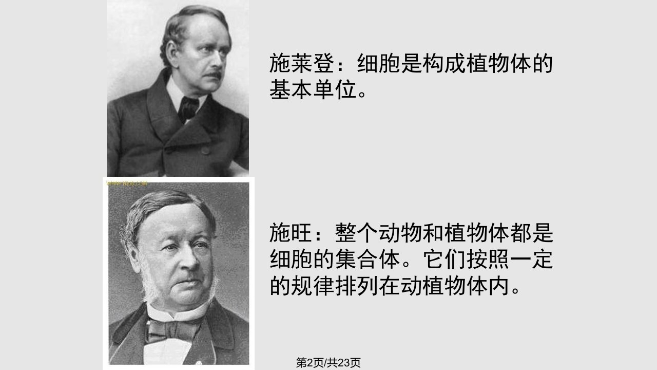 苏教初中生物七上人和动物细胞的结构和功能