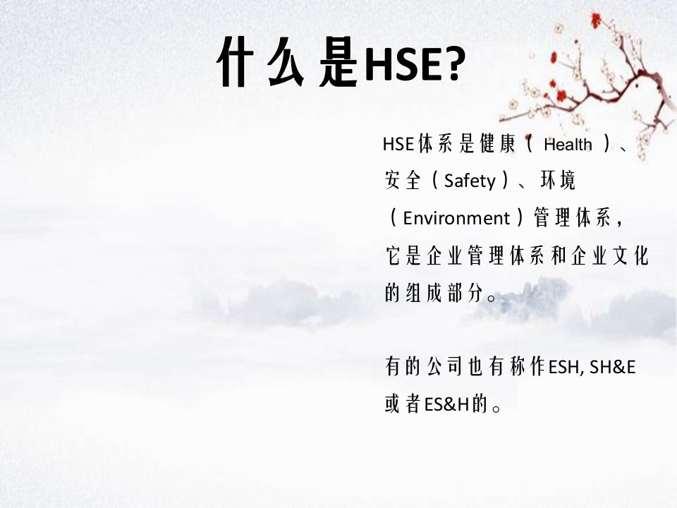 HES管理体系培训