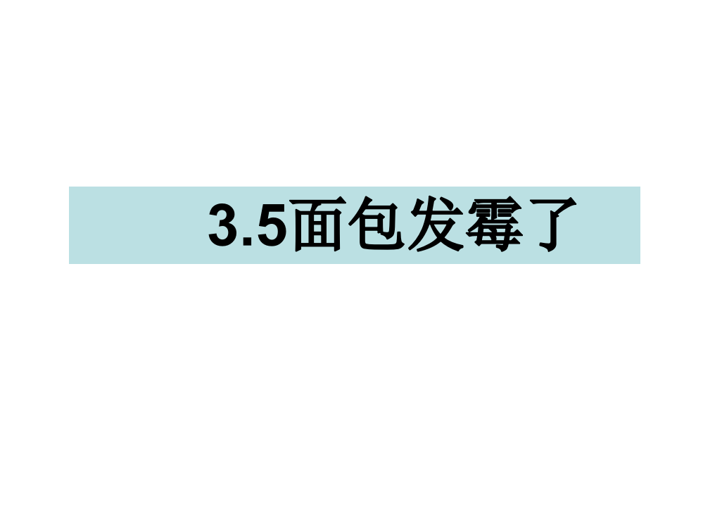 四级下册科课件-3.5面包发霉了