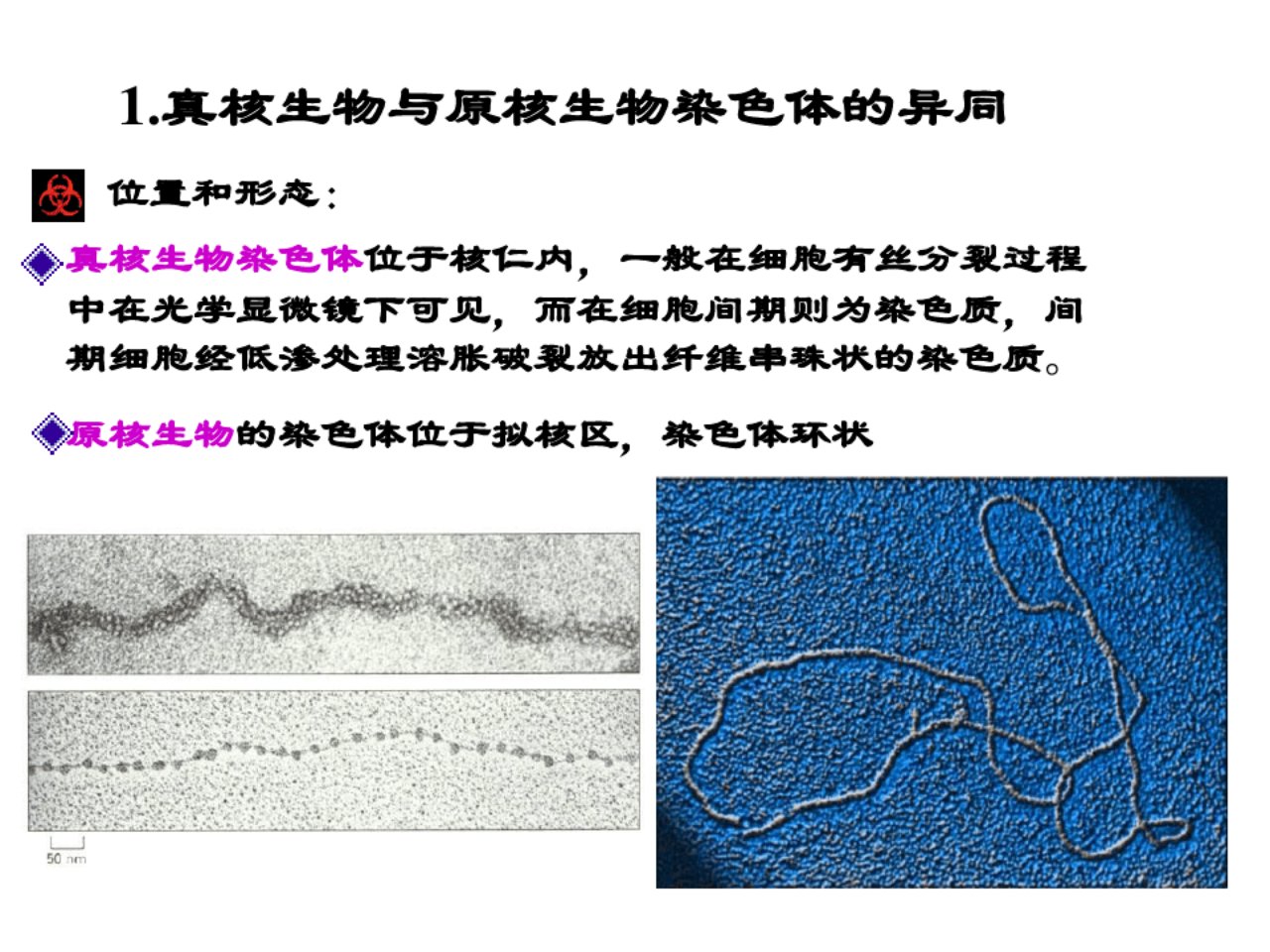 分子生物学第三次课316