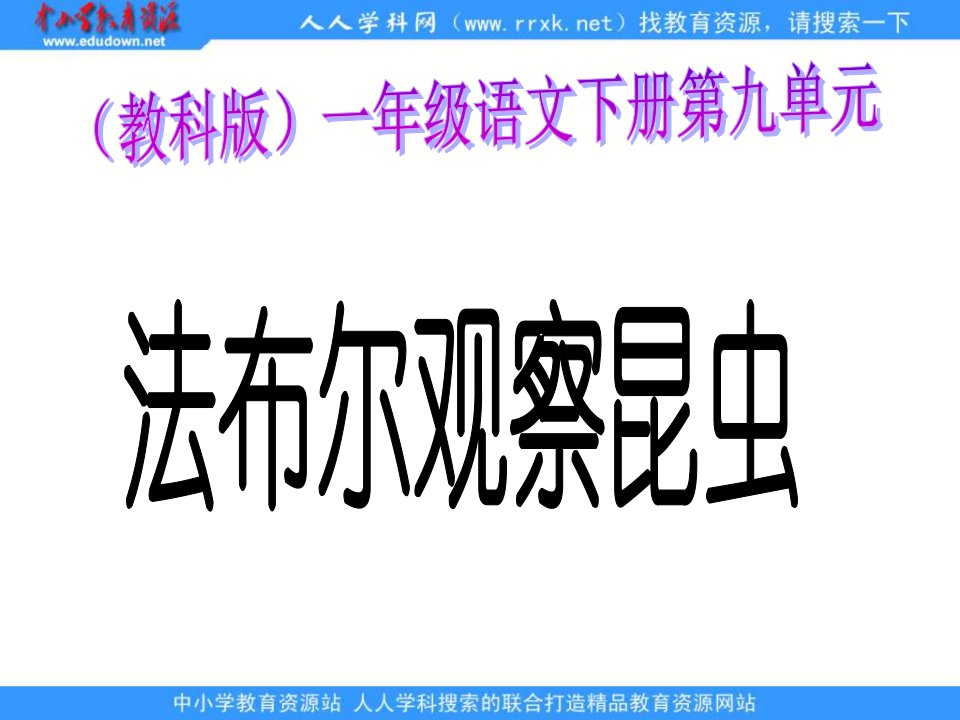 教科版一年级下册《法布尔观察昆虫》