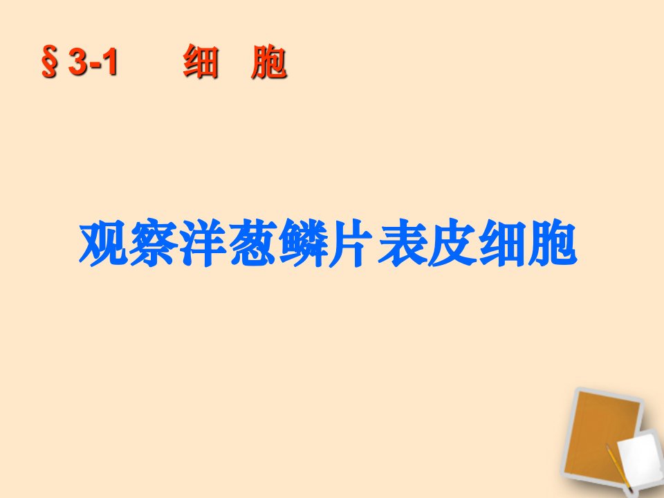 生物上册观察洋葱鳞片表皮细胞课件北京课改