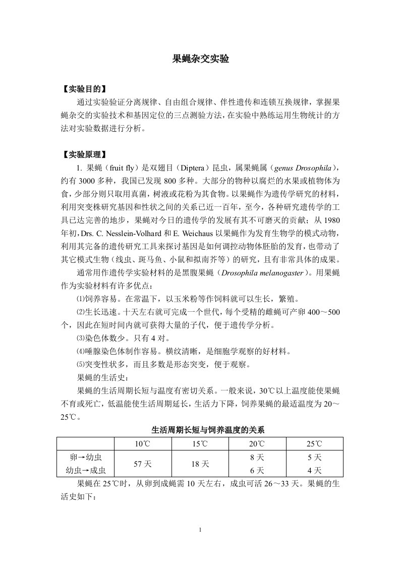 果蝇杂交实验实验报告