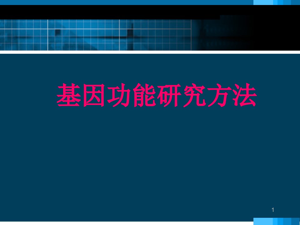 基因功能研究方法