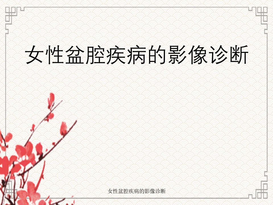 女性盆腔疾病影像诊断