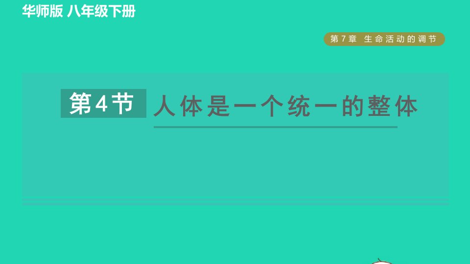 2022八年级科学下册第7章生命活动的调节4人体是一个统一的整体习题课件新版华东师大版