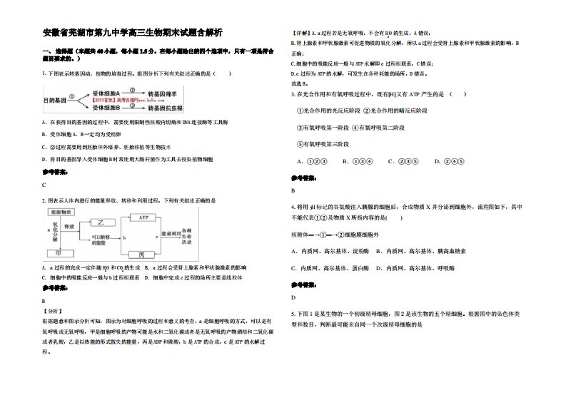 安徽省芜湖市第九中学高三生物期末试题含解析