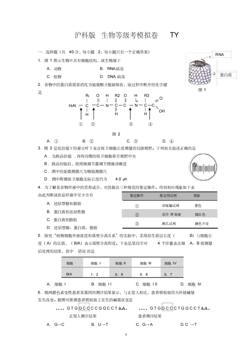 沪科版生物等级考模拟卷(附答案)