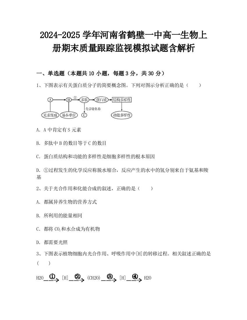 2024-2025学年河南省鹤壁一中高一生物上册期末质量跟踪监视模拟试题含解析