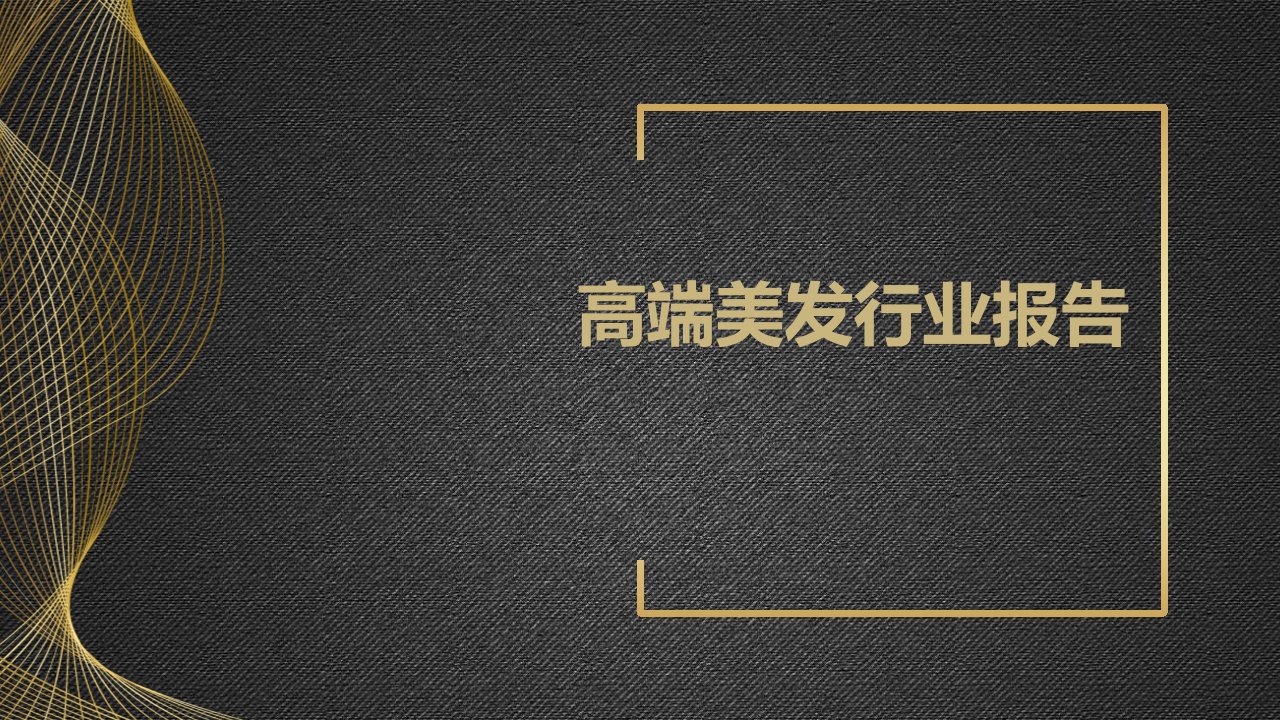 高端美发行业报告