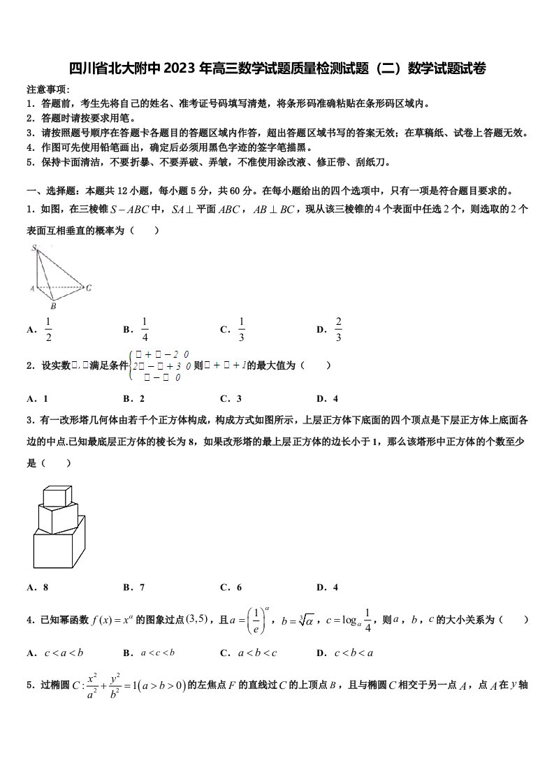 四川省北大附中2023年高三数学试题质量检测试题（二）数学试题试卷含解析