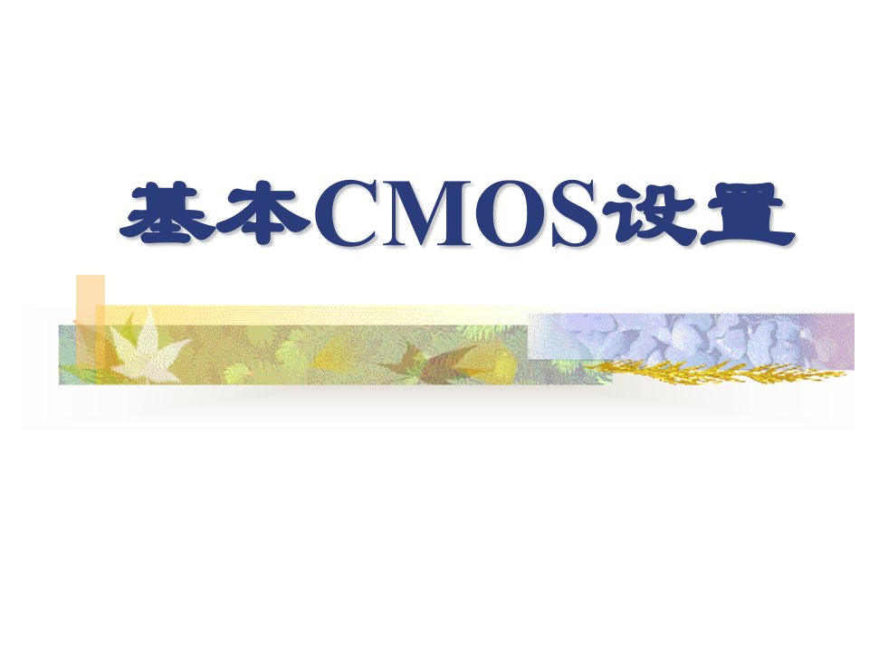 CMOS基本设置