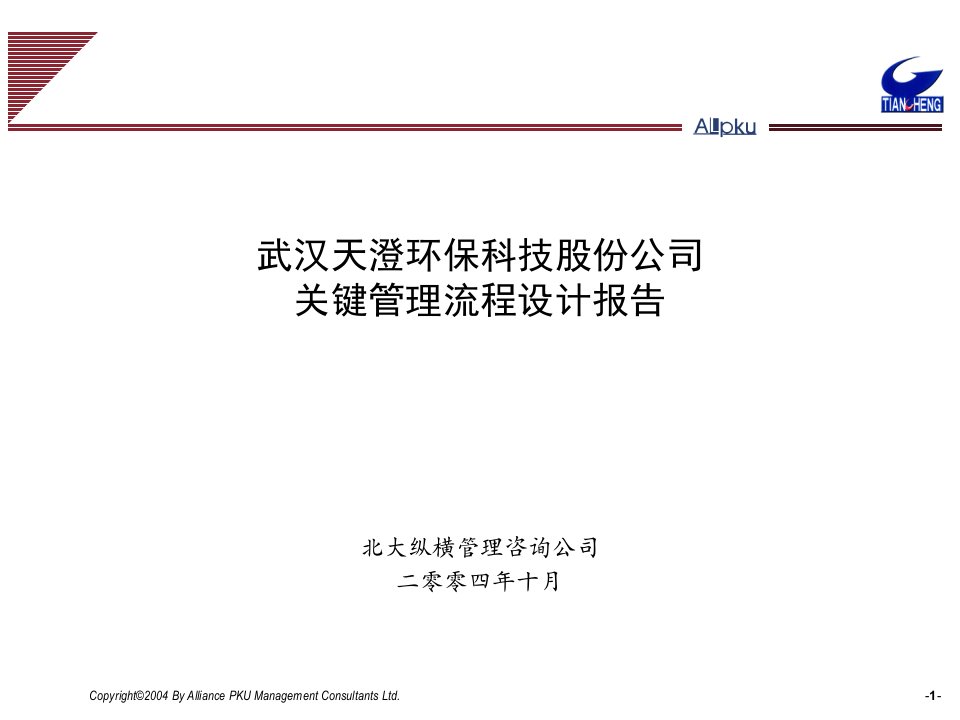 北大纵横－武汉天澄环保科技股份公司关键管理流程设计报告