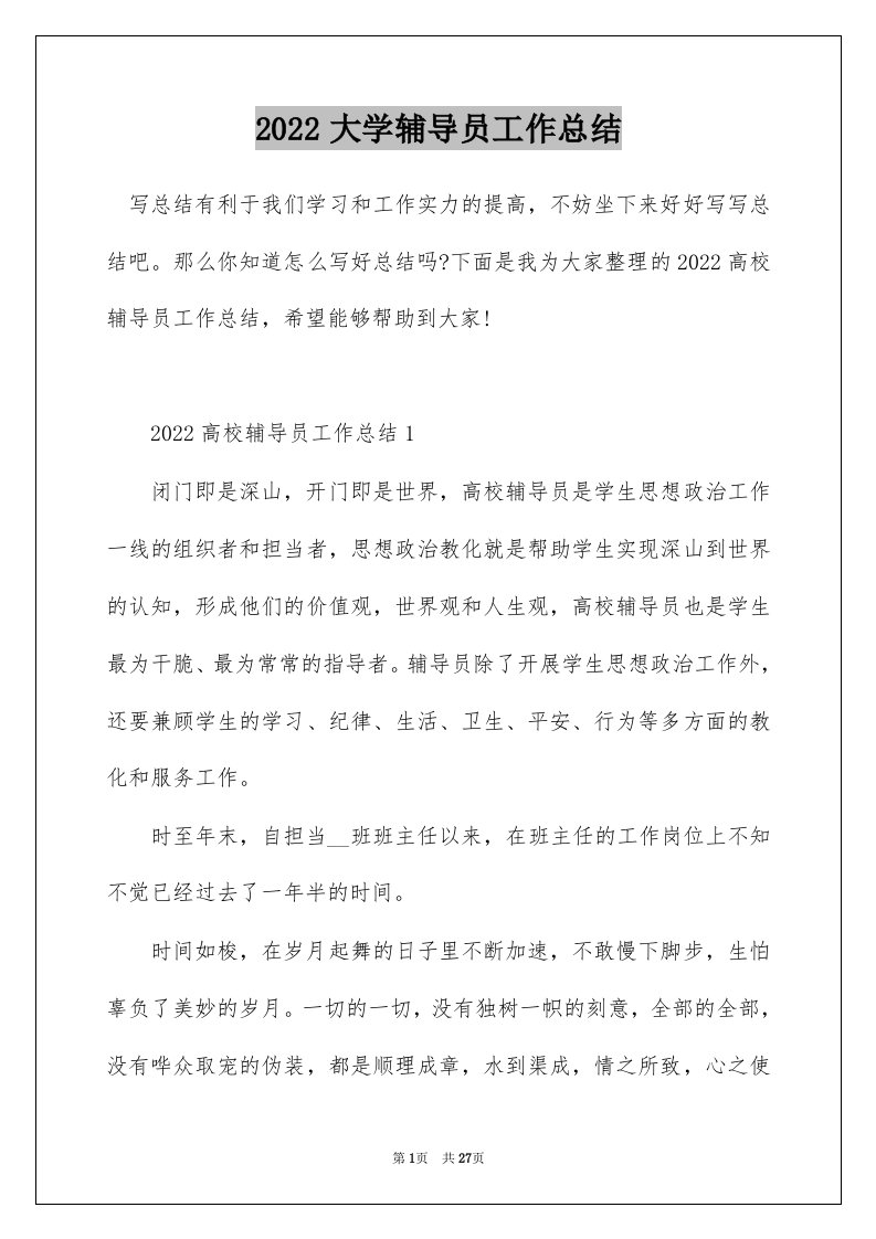 2022大学辅导员工作总结