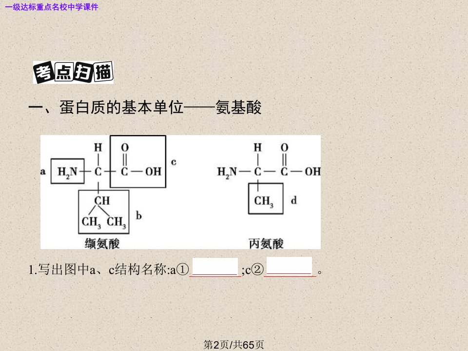 高三生物一轮复习蛋白质核酸糖类和脂质