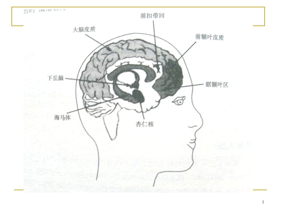 岁幼儿情绪发展轨迹